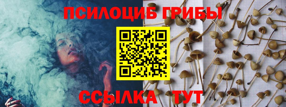 Галлюциногенные грибы Psilocybine cubensis  Вход с VPN  Псилоцибиновые грибы мицелий  Канаш 