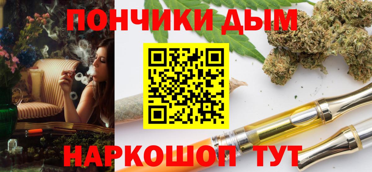 Конопля сатива Канаш